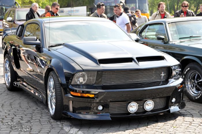 Stang0008.jpg