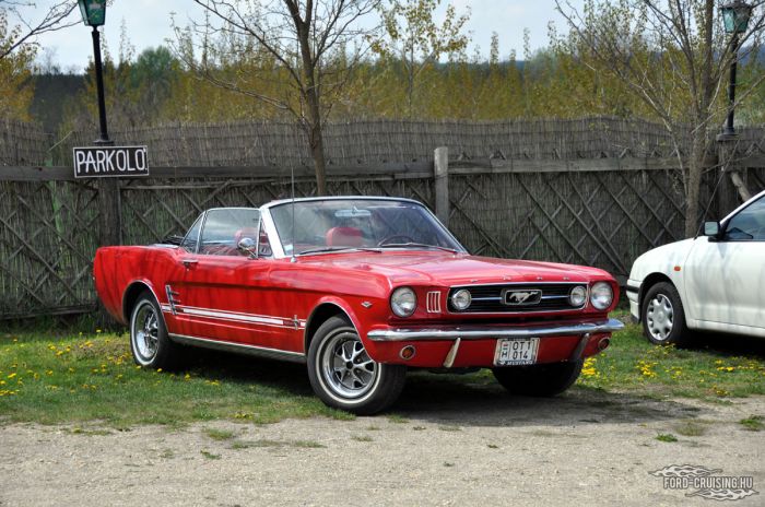 Stang0081.jpg