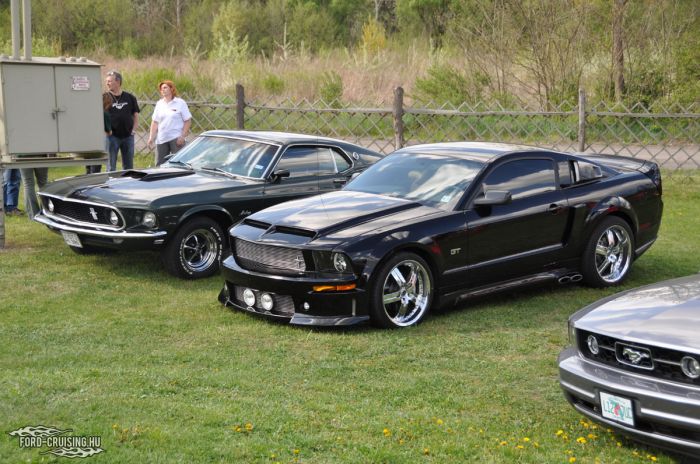 Stang0122.jpg