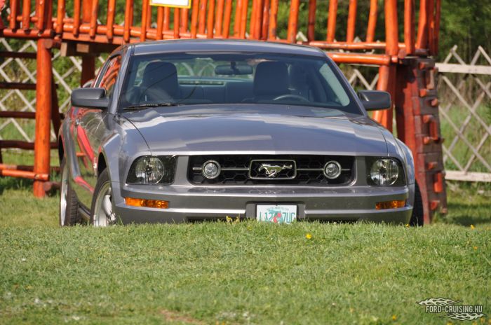 Stang0128.jpg