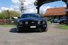 Stang0217.JPG