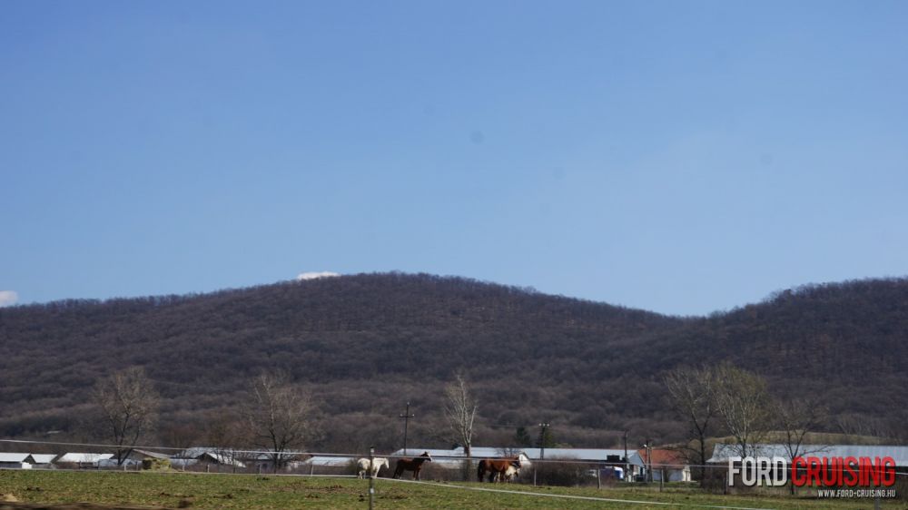 Fotó: pechancili
