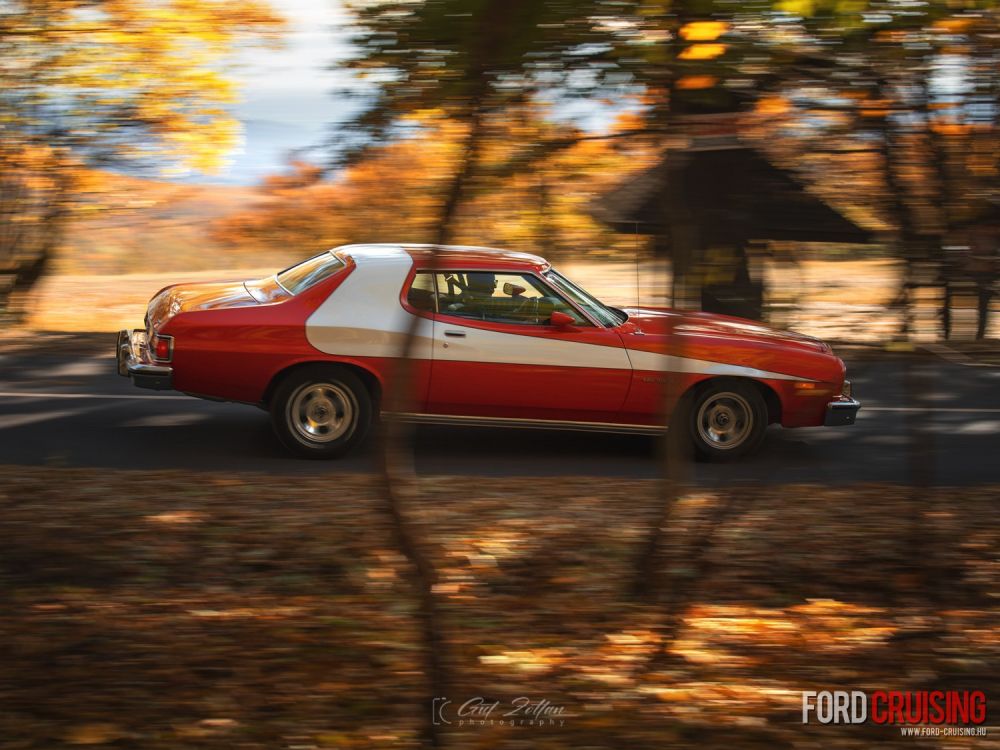 Fotó: Gut Zoltán Photography
