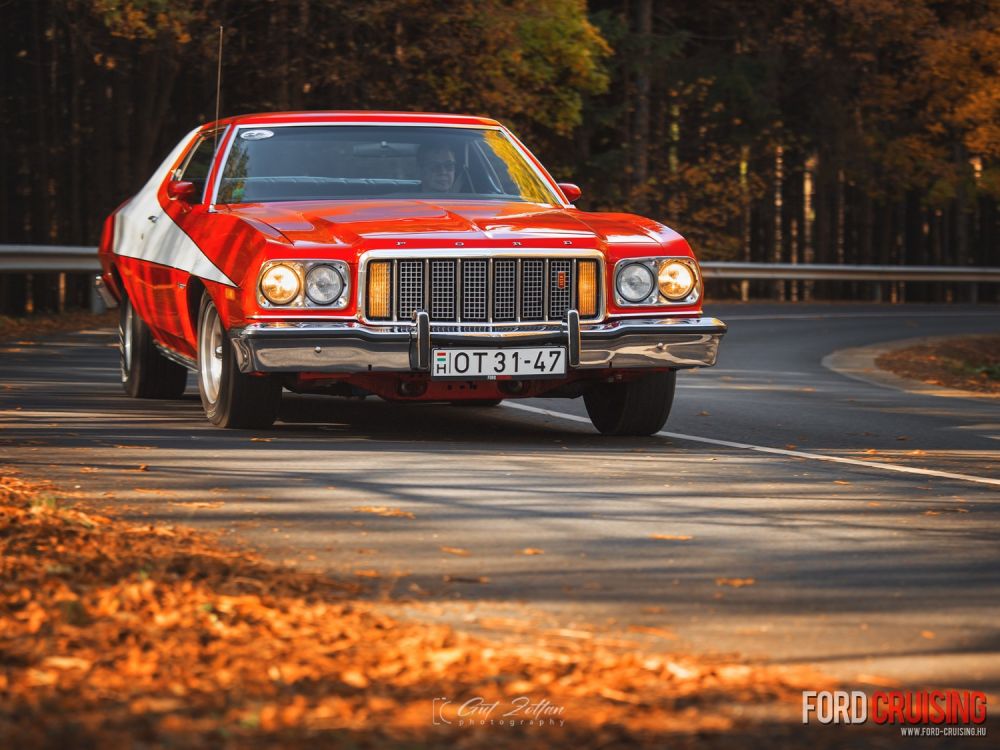 Fotó: Gut Zoltán Photography
