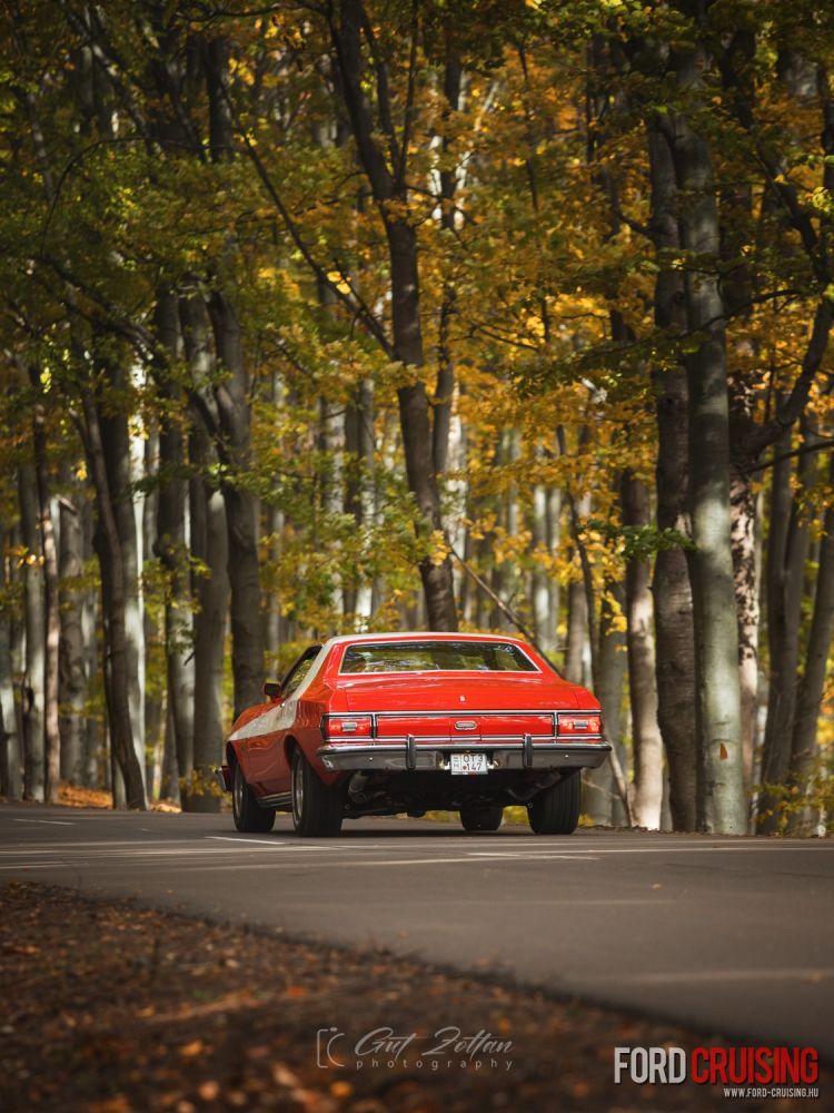 Fotó: Gut Zoltán Photography
