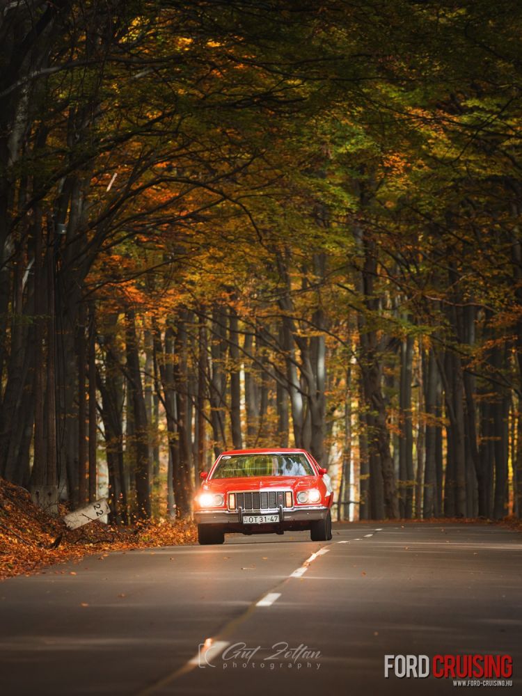 Fotó: Gut Zoltán Photography
