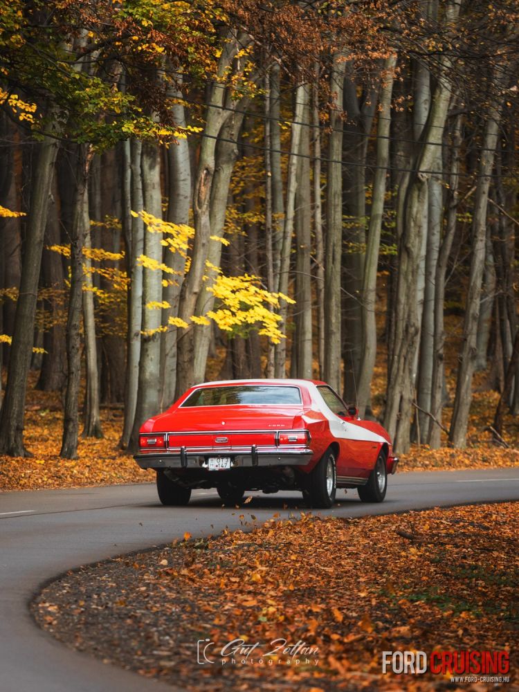 Fotó: Gut Zoltán Photography
