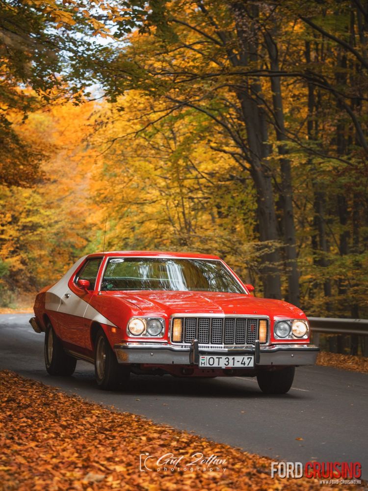 Fotó: Gut Zoltán Photography
