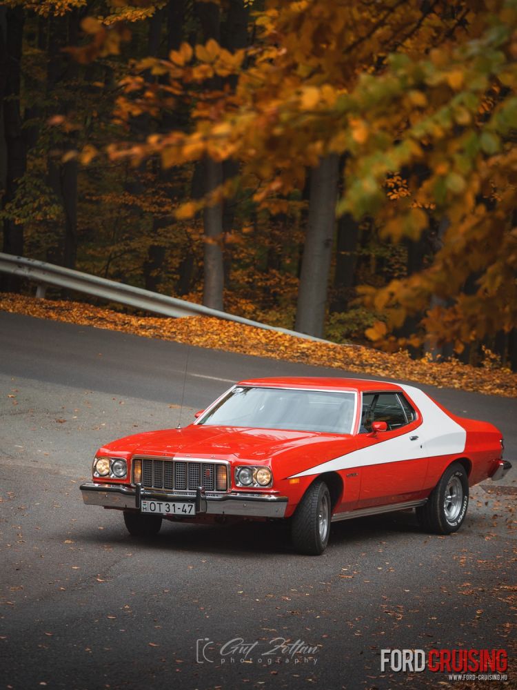 Fotó: Gut Zoltán Photography
