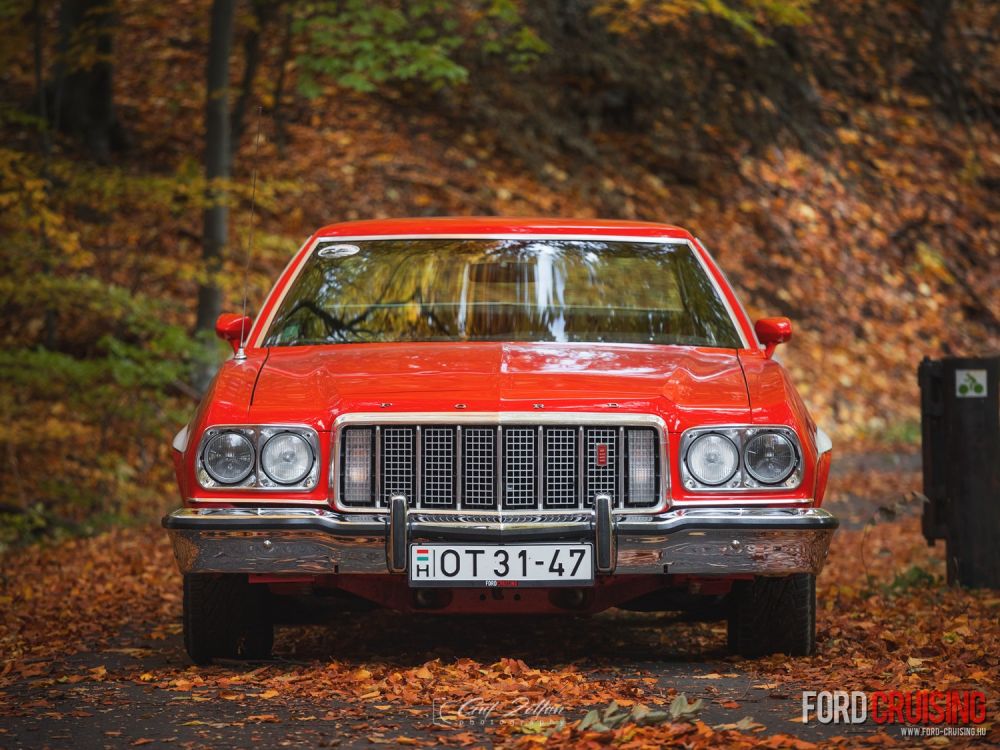 Fotó: Gut Zoltán Photography
