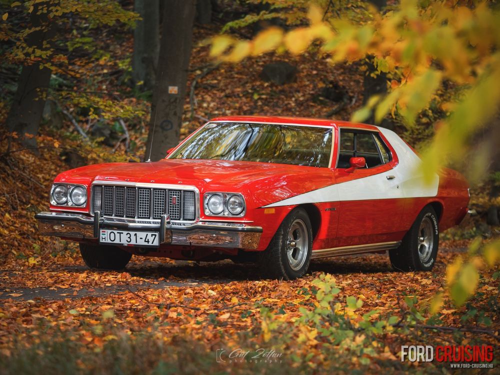 Fotó: Gut Zoltán Photography
