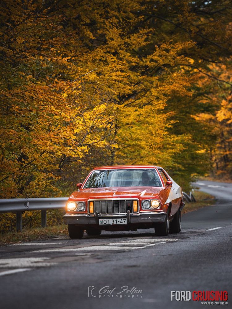 Fotó: Gut Zoltán Photography
