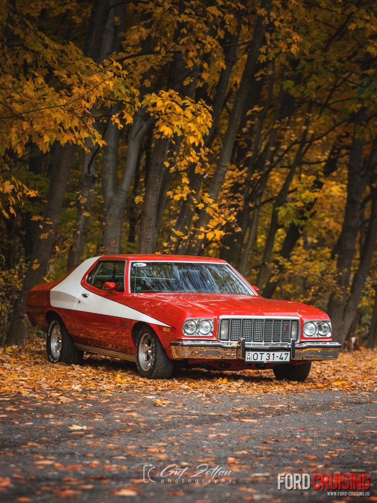 Fotó: Gut Zoltán Photography
