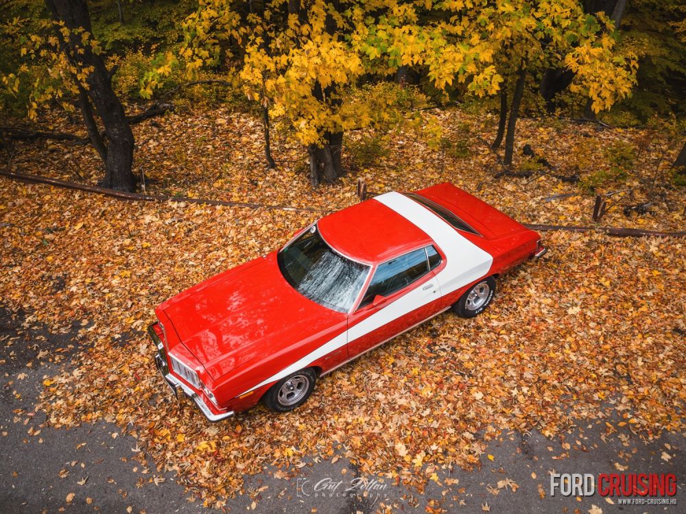 Fotó: Gut Zoltán Photography
