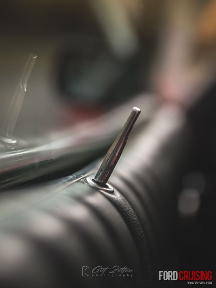 Fotó: Gut Zoltán Photography
