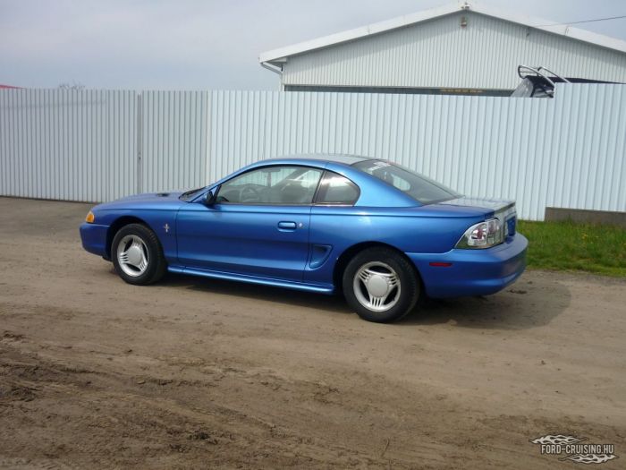 Stang07.jpg