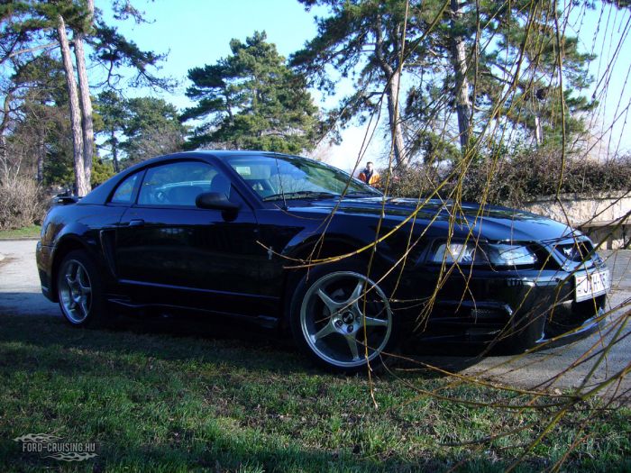 Kulcsszavak: Ford Mustang V6 2001