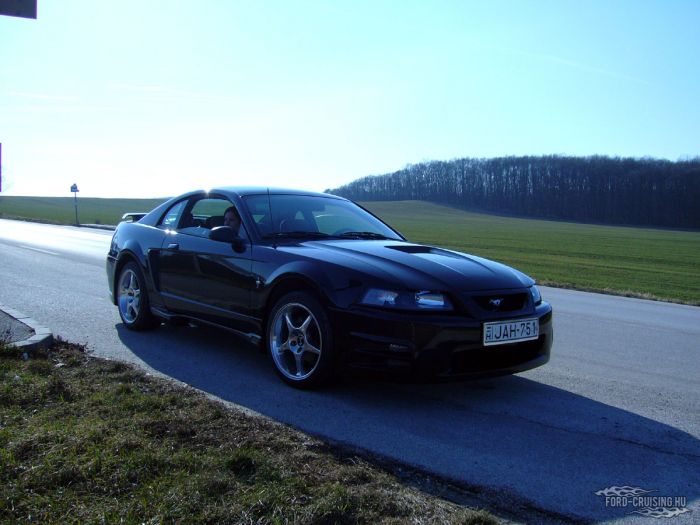 Kulcsszavak: Ford Mustang V6 2001