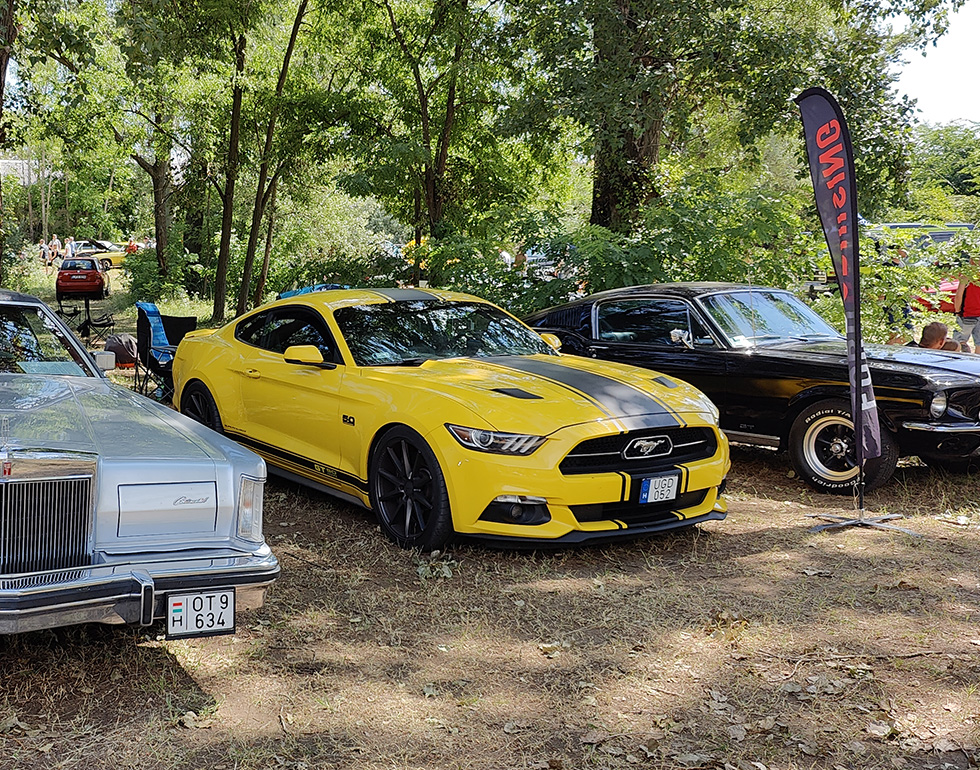 ACCH Big Meet
